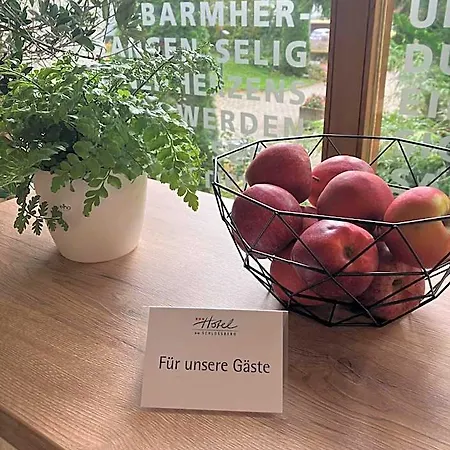 Am Schlossberg Отель 3*